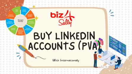 1674030064-h-250-LinkedIn Accounts (PVA).png